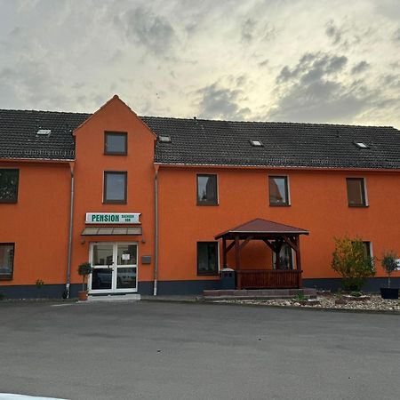 Pension Sachseneck ハイデナウ エクステリア 写真